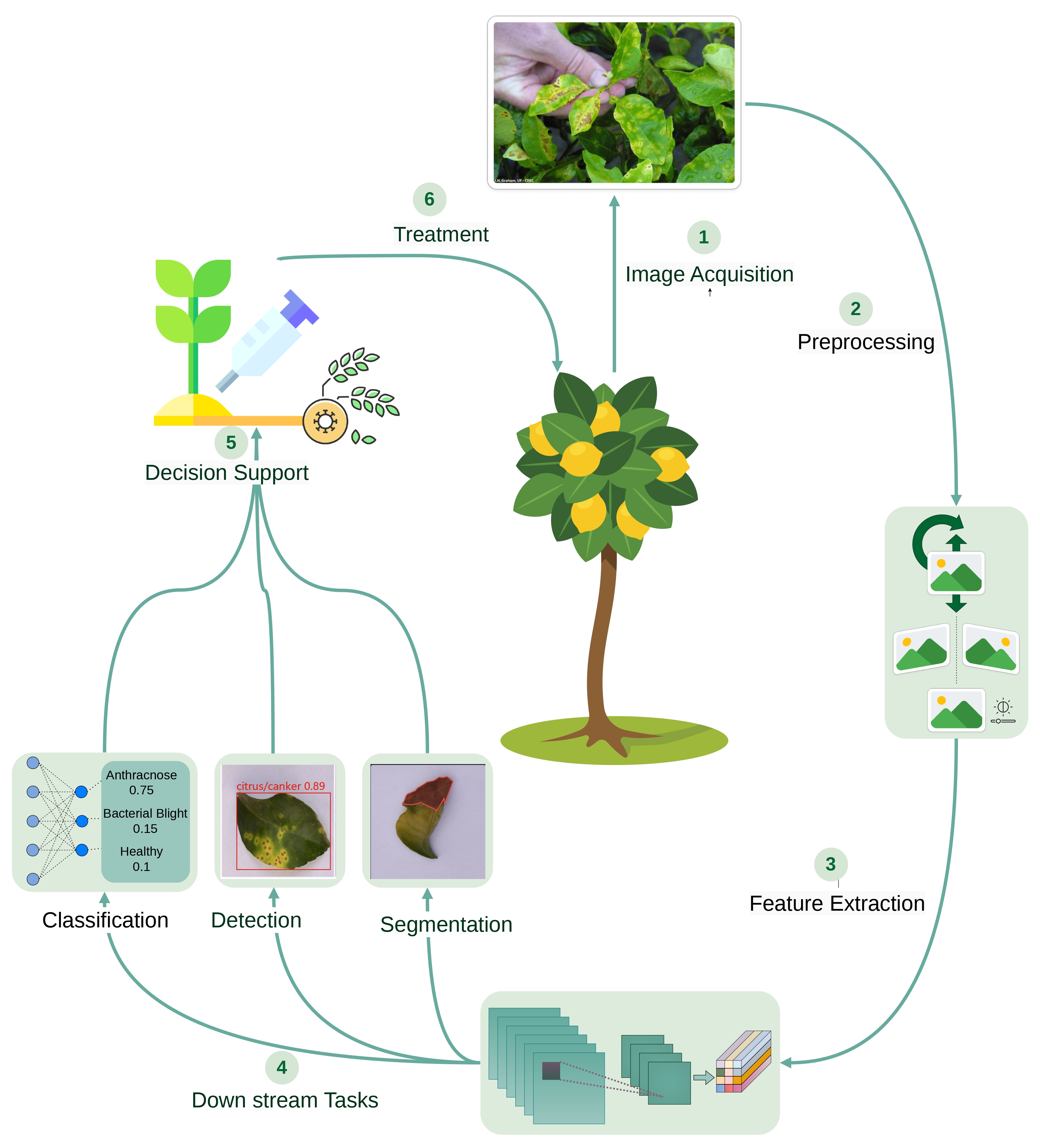 Citrus disease recognition pipeline figure